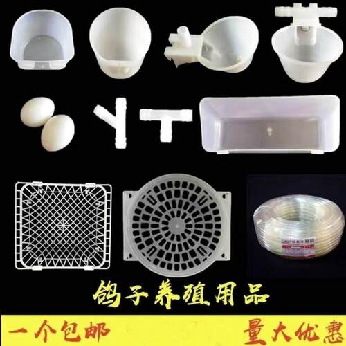 鸽子肉鸽用品用具养殖配件喂食器自动饮水杯食盒蛋窝鹌鹑砂杯