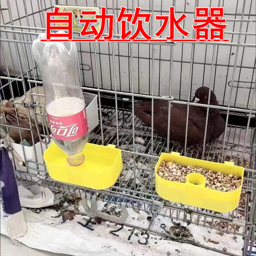 鸽子饮水盒鸽笼挂盒小鸟鸡饮水器