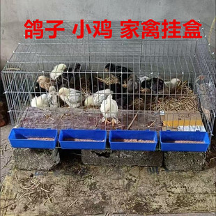 小鸡食槽下料器鸽子食盒挂盒鸟用食盒水杯水盒防撒食槽鹌鹑喂食器