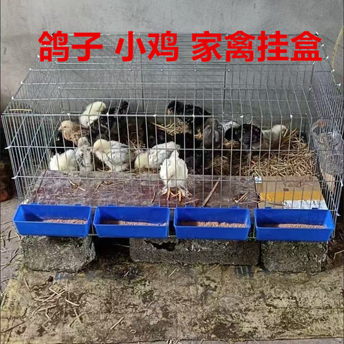 小鸡食槽下料器鸽子食盒挂盒鸟用食盒水杯水盒防撒食槽鹌鹑喂食器