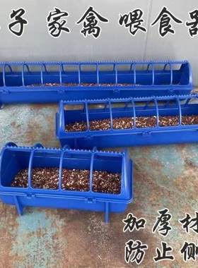 鸽子食槽防撒鸡食槽赛鸽用品用具料槽饮水槽长方形小鸡槽子喂食器