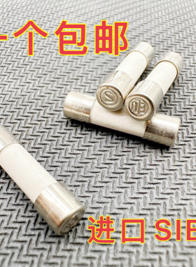 SIBA两头私印ELU S标志5X20陶瓷 保险丝管250V T2AH 4A德5A白色