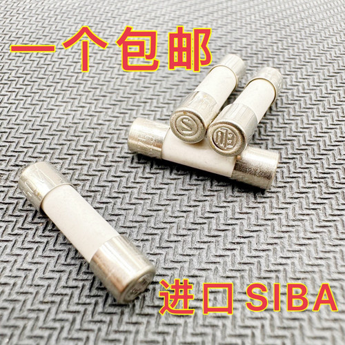 SIBA进口两头钢印ELU S标志5X20陶瓷 保险丝管250V T2AH 4A德国5A