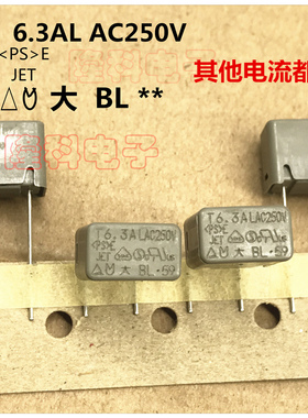 6.3A大BL250V灰色BL63  大东进口方形保险丝管 慢熔T6.3AL AC250V