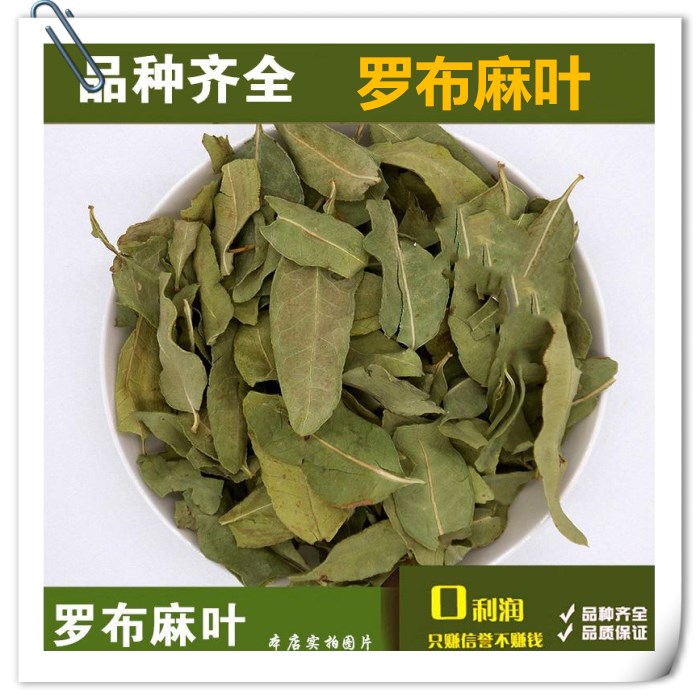 罗布麻叶茶精选新疆野生罗布麻嫩芽叶天然正宗中药罗布麻500克包