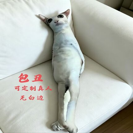 宠物异形抱枕腰靠来图定制印照片定做人物枕头猫咪小狗纪念丑礼物