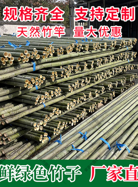 青色竹竿绿色竹子竹杆竹棍婚庆布置竹子杆装饰造景搭架楠竹毛竹杆