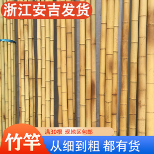 防腐竹子隔断吊顶造景装饰竹竿围栏栅栏装饰竹杆竹篙活动搭架子竹