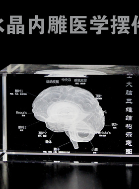 水晶玻璃3D内雕大脑模型摆件医学院送医生同学纪念礼品