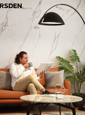 马斯登智能调光落地灯客厅沙发边高级感2025新款客厅落地灯钓鱼灯