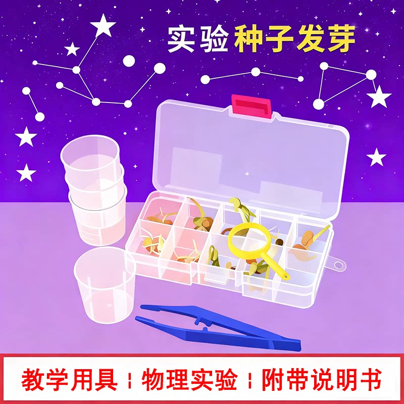 儿童创意科学小制作种子