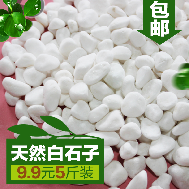 天然小白石子鱼缸多肉石头彩石园艺装饰花盆盆栽多肉造景铺面包邮在类目 鲜花速递/花卉仿真/绿植园艺, 园艺用品, 其它园艺用品中 - 来自Buy2taobao.com提供专业的淘宝代购服务