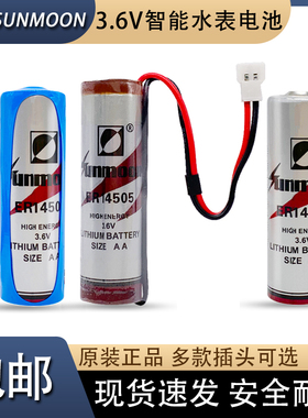 IC卡水表日月ER14505智能水表3.6V威胜威铭水表专用电池