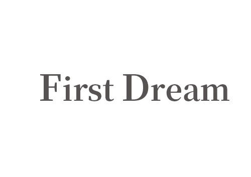 firstdream最初梦想原创设计新娘头纱结婚礼轻拍照白婚纱定制头纱