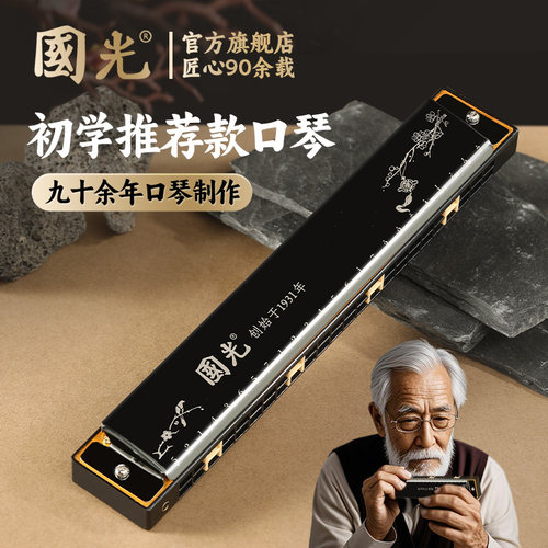 上海国光口琴24孔复音C调送教程