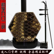 Tô Châu Erhu người mới bắt đầu thực hành đàn nhị nhạc cụ dân tộc Hu Qin gửi phụ kiện không cơ sở thực hành nghiệp dư phổ quát đàn nhị - Nhạc cụ dân tộc