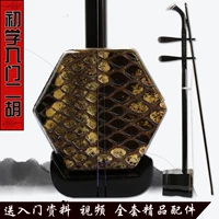 Tô Châu Erhu người mới bắt đầu thực hành đàn nhị nhạc cụ dân tộc Hu Qin gửi phụ kiện không cơ sở thực hành nghiệp dư phổ quát đàn nhị - Nhạc cụ dân tộc đàn tì bà