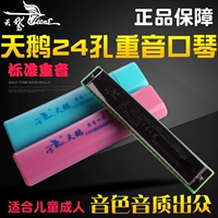 Swan 24 lỗ có dấu C hòa tấu trẻ em người mới bắt đầu chơi nhạc cụ hòa tấu người lớn tự học chơi nhạc hòa tấu - Nhạc cụ phương Tây mua đàn nguyệt