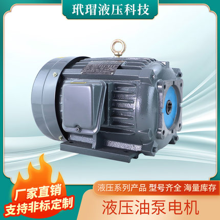 液压油泵电机0.75KW/1.5KW/2.2KW/3KW/3.75KW/4KW/5.5KW油压电机