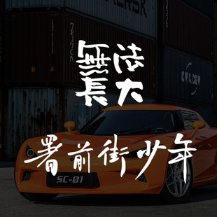 民谣赵雷车贴纸雷子粉丝无法长大暑前街少年车贴纸吉他笔记本贴纸