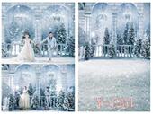 照相馆结婚照背景布雪景照相合影 韩式 背景纸 婚庆照相拍照背景