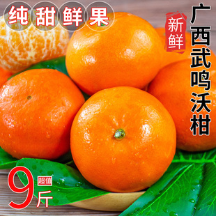 广西武鸣沃柑水果新鲜当季整箱大果桔子橘子当季砂糖皇帝蜜柑包邮