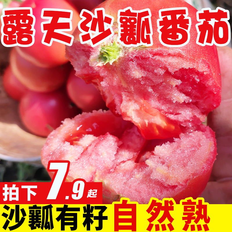 攀枝花沙瓤番茄9斤普罗旺斯西红柿沙瓤新鲜自然熟小番茄整箱包邮5