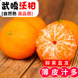 广西武鸣沃柑10斤水果新鲜大果桔子橘子当季砂糖皇帝蜜柑整箱包邮