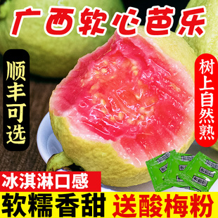 广西软糯红心芭乐5斤新鲜水果番石榴脆甜软糯胭脂红顺丰包邮可选0