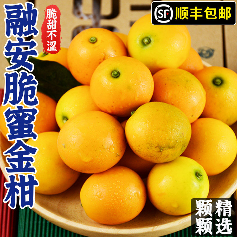 广西脆蜜金桔小金柑新鲜桔子应当季现摘水果蜜金柑桔纯甜孕妇包邮,水产肉类/新鲜蔬果/熟食,桔子,淘宝优惠券,粉丝福利购,淘宝优惠卷