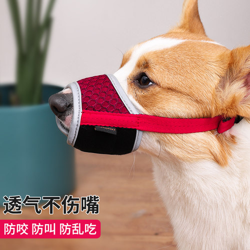 舒耐狗嘴套防咬防叫防乱吃捡垃圾