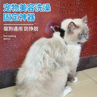 宠物洗澡固定器猫咪洗澡神器吸盘剃毛吹干绑狗绳美容桌吊绳牵引绳