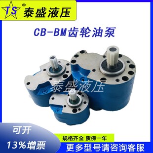 M50 M125四川川润齿轮泵 M25 M80 M100 M63 M40 M32 M20 BM16