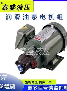 摆线泵TOP-12A三角齿轮泵TOP11A/13A机床润滑380V抽油泵电机1/4HP