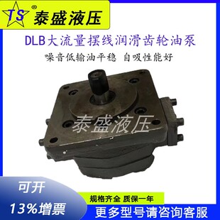 BN100 DLB B160大流量摆线齿轮油泵DLB B125 160Y润滑油泵A B100