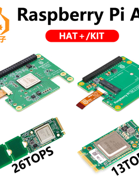树莓派5官方原装AI Kit PCIE M.2 HAT+ Hailo8l 13/26Tops