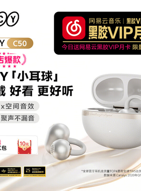 QCY Crossky C50小耳球 AI版耳夹式蓝牙耳机AI降噪防水翻译耳机