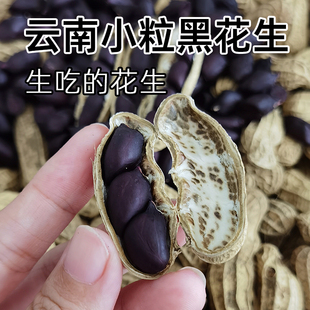 云南小粒黑花生带壳生的新货500g/袋味甜黑皮种籽子原味包邮