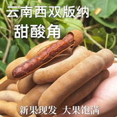 云南酸甜角大果罗望子西双版 纳酸豆角新鲜甜角带壳甜酸角零食