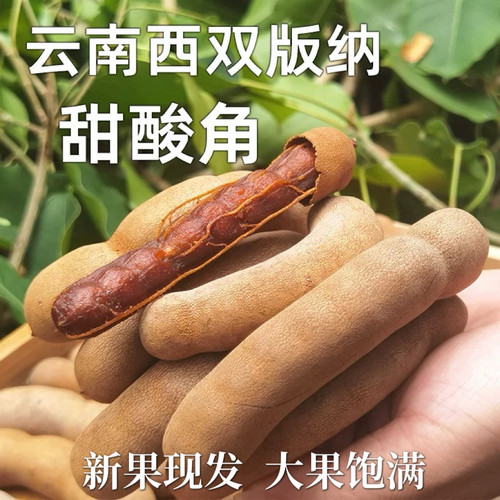 云南酸甜角大果罗望子西双版纳酸豆角新鲜甜角带壳甜酸角零食
