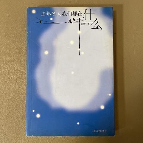 去年冬天我们都在干什么9787532737314（单本） 书籍/杂志/报纸 现代/当代文学 原图主图