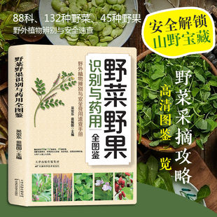 野菜野果图鉴 野菜野果图鉴中国常见植物野外识别手册原野漫步植物图谱野外识别速查图鉴野生植物身边常见彩色生活百科书籍