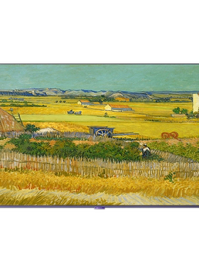 Skyworth/创维65/75/86/100Q7D 超薄240Hz超高刷4+64GB壁纸电视