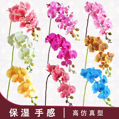 保湿手感蝴蝶兰仿真花高品质