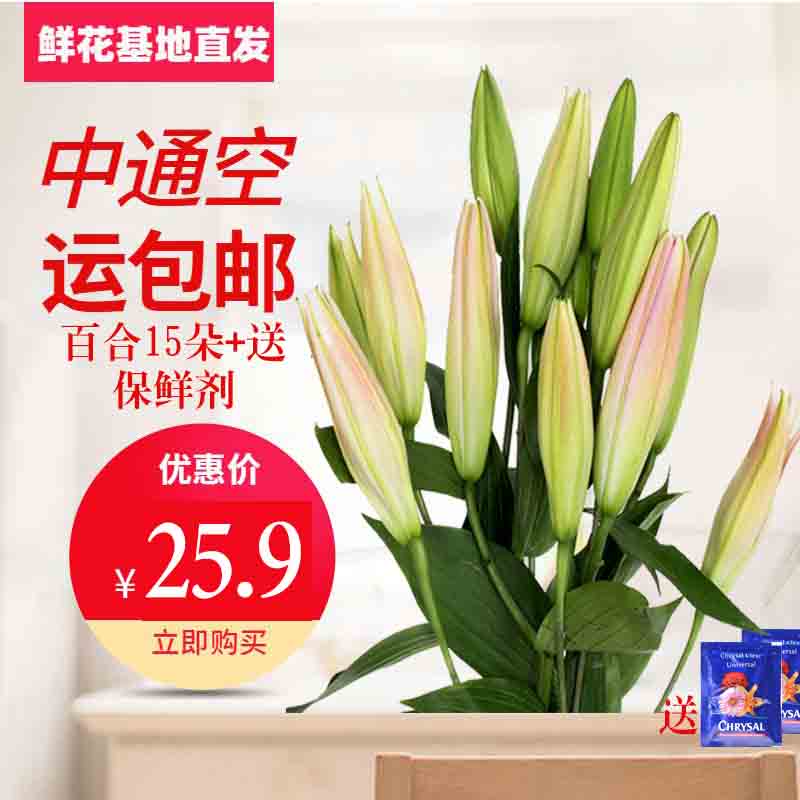 鲜花花束直批玫瑰花水养百合发云南昆明直发同城速递康乃馨向日葵