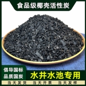 食品级椰壳净水活性炭自来水地下水井水池水缸水塔过滤罐用净化碳
