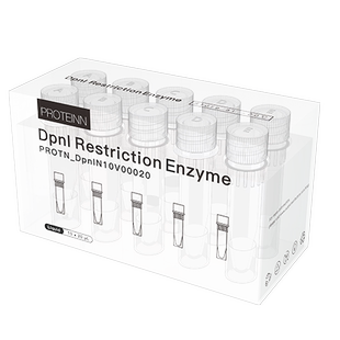 DpnⅠ Enzyme Restriction