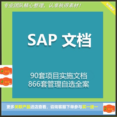 SAP项目案例蓝图实施案例中大型项目实施资料 各行业管理咨询案例