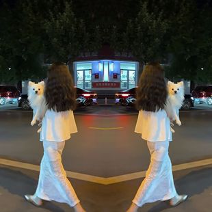 搭配蕾丝半身裙套装 女神范法式 纯色打底衫 优雅高级感温柔夏季 新款