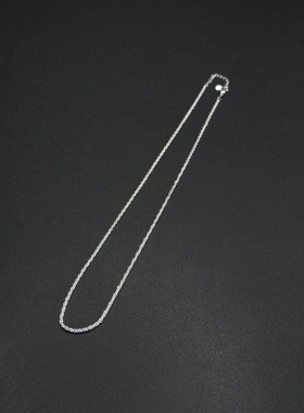 蛇骨链项链女简约细颈链气质锁骨链轻奢小众无吊坠素链子R30803